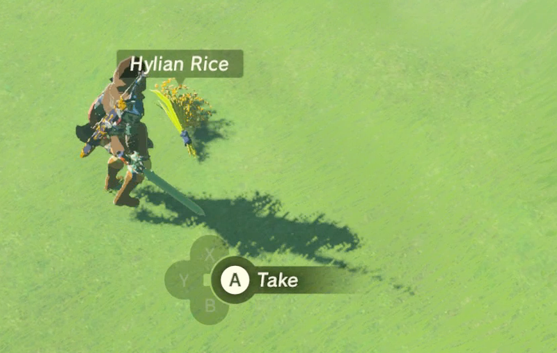 Illustration for article titled Zelda: Breath Of The Wild Is Full Of Amazing Little Details